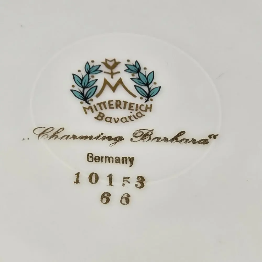 Mitterteich Bavaria Charming Barbara Salad Dessert Floral Design Plate 10153 66